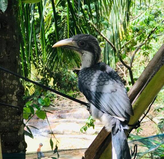 ベッドアンドブレックファースト River Splendour Home Stay