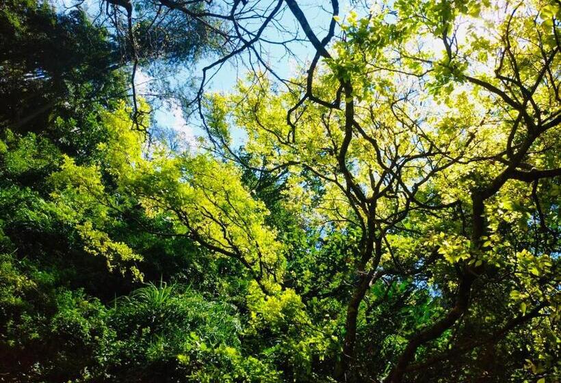 ベッドアンドブレックファースト River Splendour Home Stay