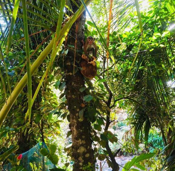 ベッドアンドブレックファースト River Splendour Home Stay