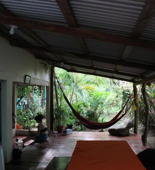 Отель Cabinas Tortuguero