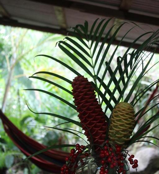 Отель Cabinas Tortuguero