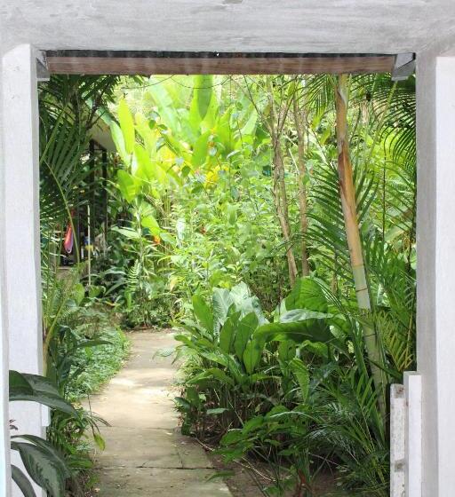 Отель Cabinas Tortuguero