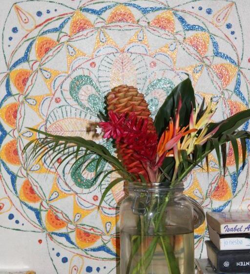 Отель Cabinas Tortuguero