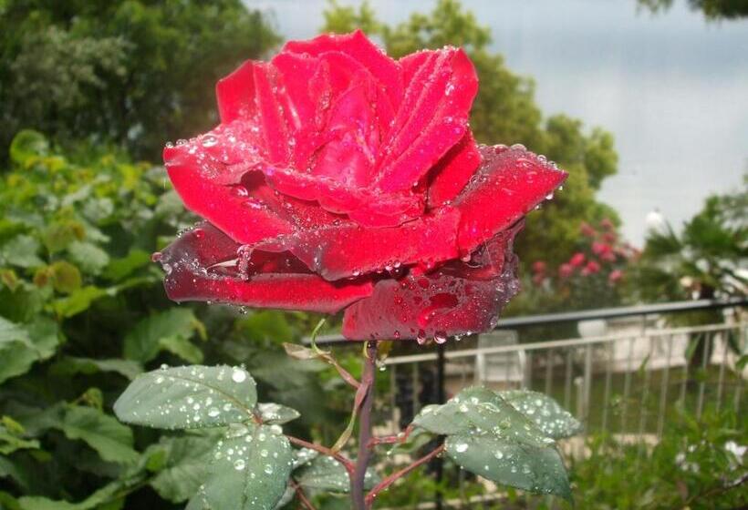 Отель Casa Alessandra