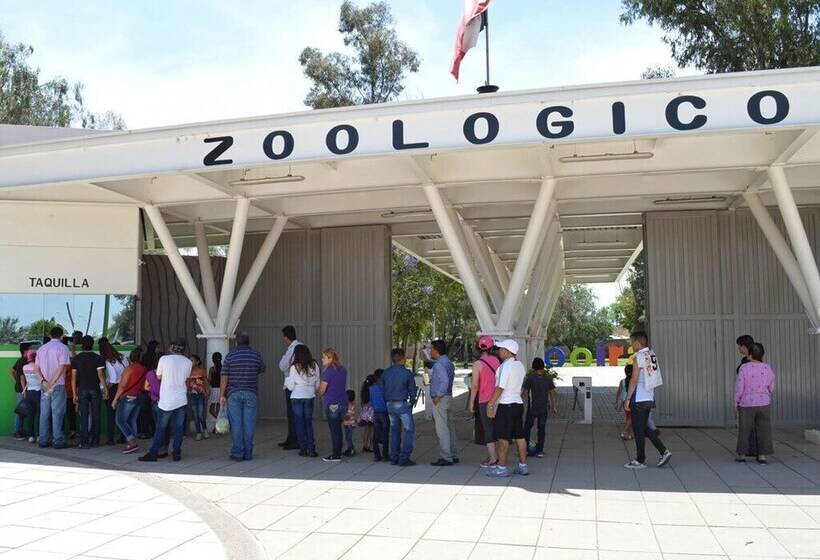 ホテル Flamingo Kristal