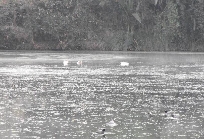 酒店 Lienzo Charro 1