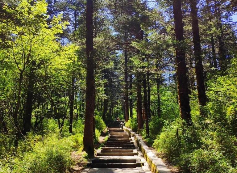 בית מלון כפרי Mount Emei Feng Lin Yue