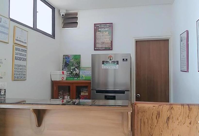 فندق Real Pólux