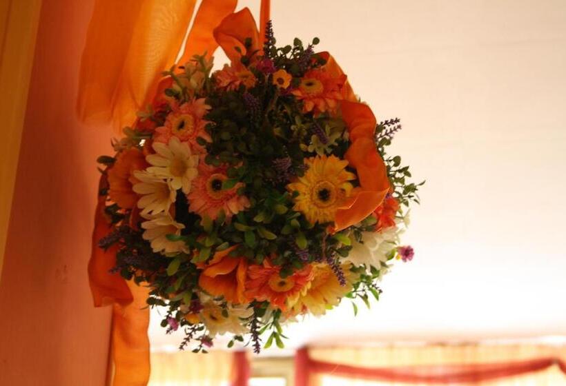 בית מלון כפרי Ristorante Il Pino