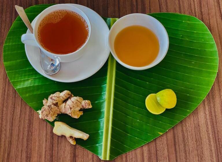 酒店 Sanskriti Vedic Retreat