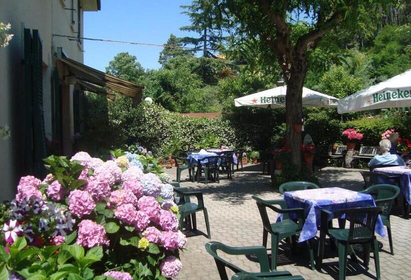 בית מלון כפרי Silvia