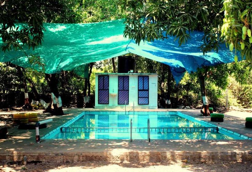 Курорт The Wilds Villa Gir Jungle Stay With Swimming Pool