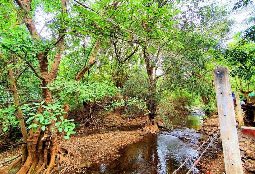 Курорт The Wilds Villa Gir Jungle Stay With Swimming Pool