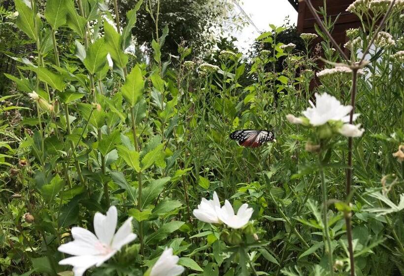 Yamagata Zao Pension Aplon Stage