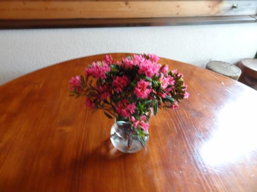 Hotel Alpen Résidence