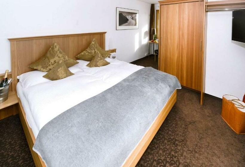 בית מלון כפרי Alpina