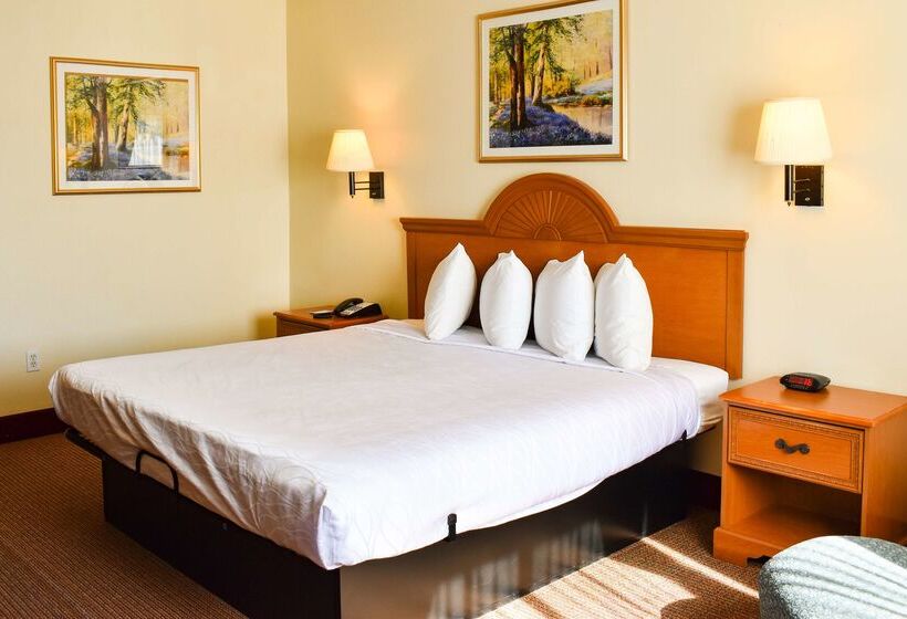 فندق Americas Best Value Inn & Suites Haltom City Ft. Worth