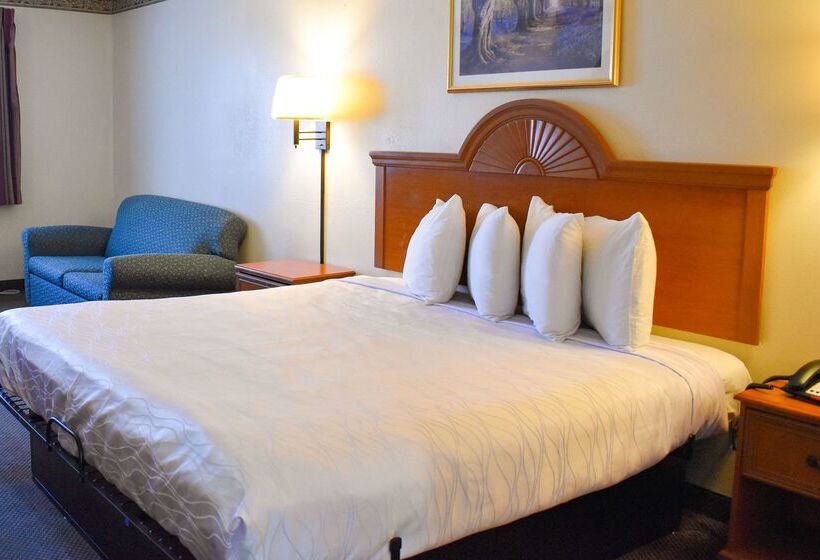 فندق Americas Best Value Inn & Suites Haltom City Ft. Worth