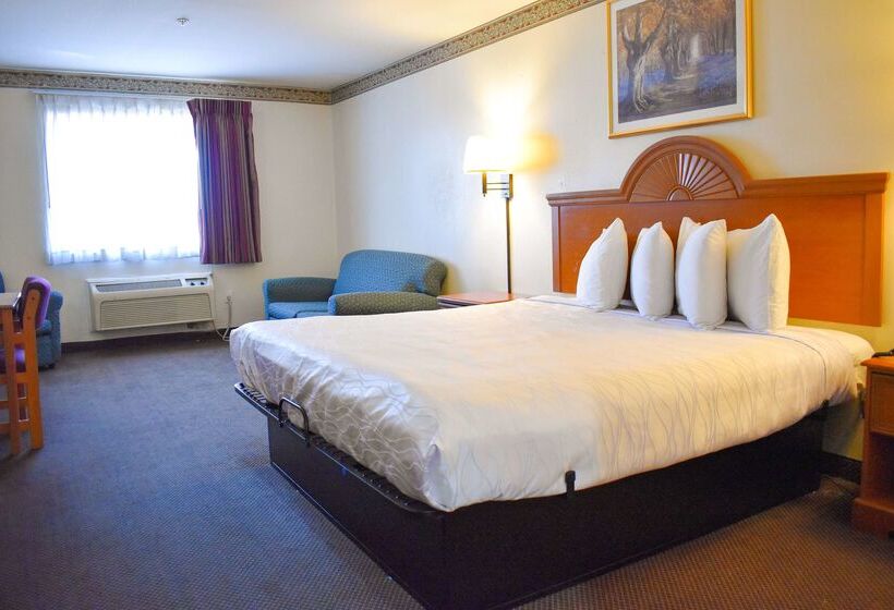 فندق Americas Best Value Inn & Suites Haltom City Ft. Worth