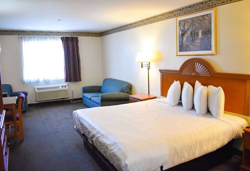 فندق Americas Best Value Inn & Suites Haltom City Ft. Worth