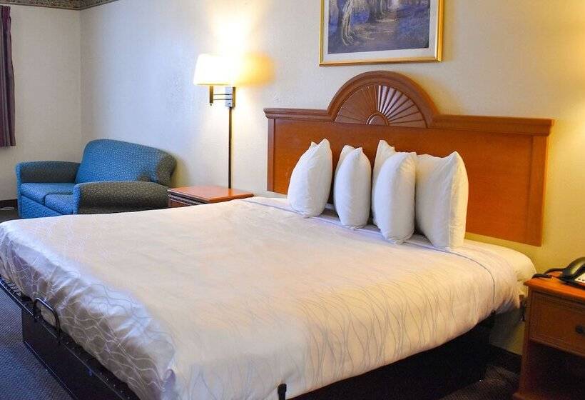 فندق Americas Best Value Inn & Suites Haltom City Ft. Worth