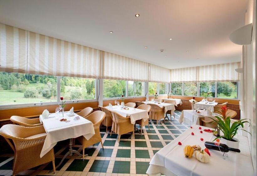 Отель Bad Schauenburg