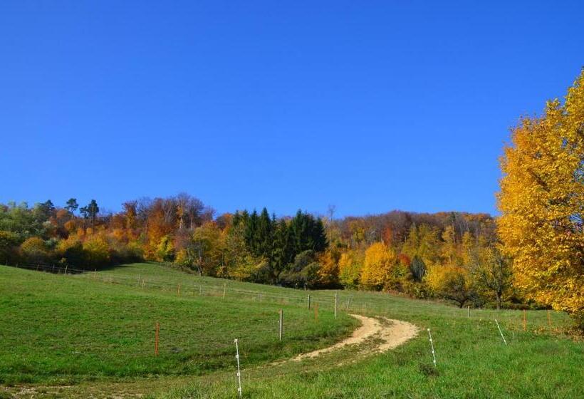 Отель Bad Schauenburg