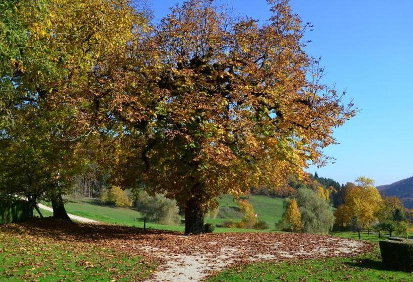 Отель Bad Schauenburg