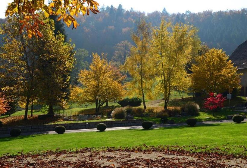 Отель Bad Schauenburg