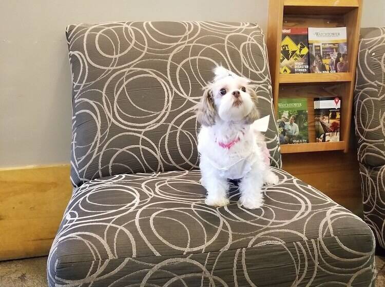 בית מלון כפרי Baymont By Wyndham Noblesville