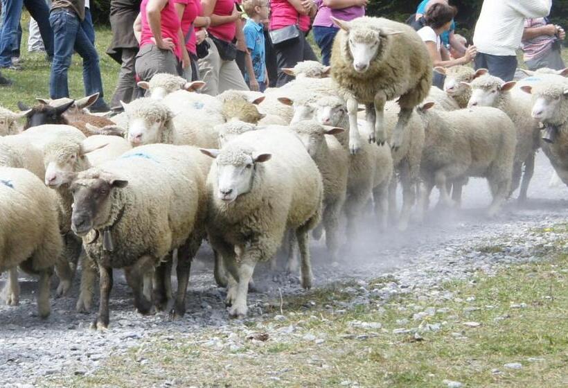 בית מלון כפרי Beau Séjour