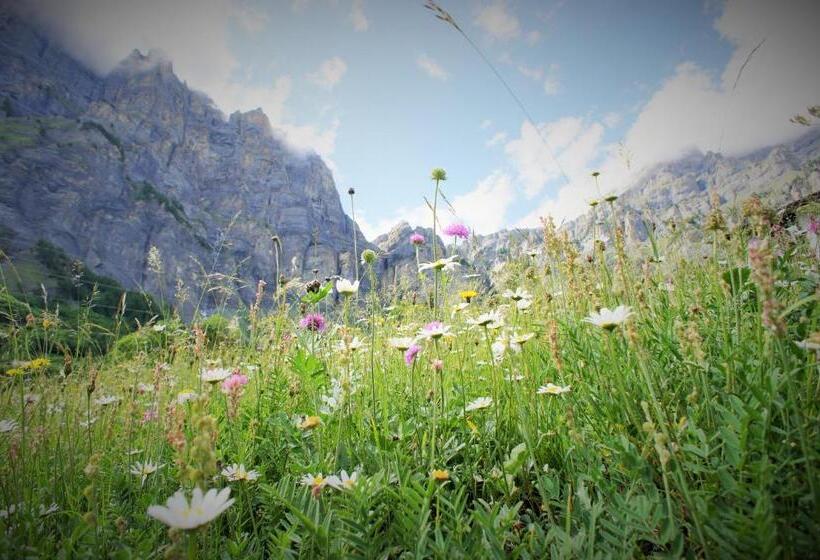 בית מלון כפרי Beau Séjour