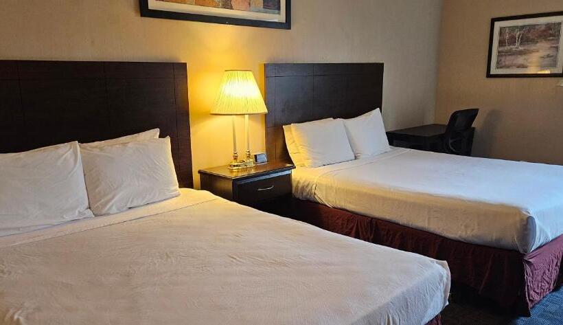 فندق Bellis Inn