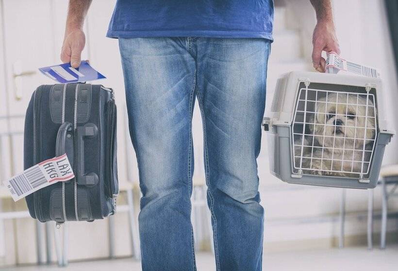 ホテル Best Western El Paso Airport Entrada