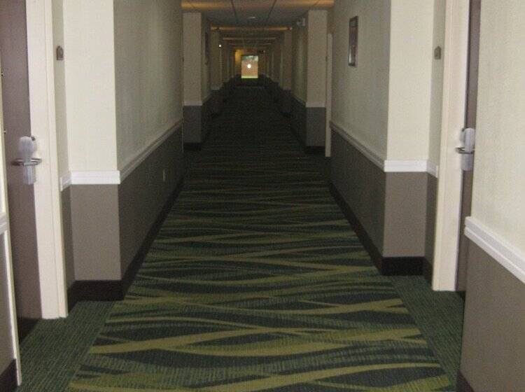 בית מלון כפרי Best Western Plus Springfield Airport Inn