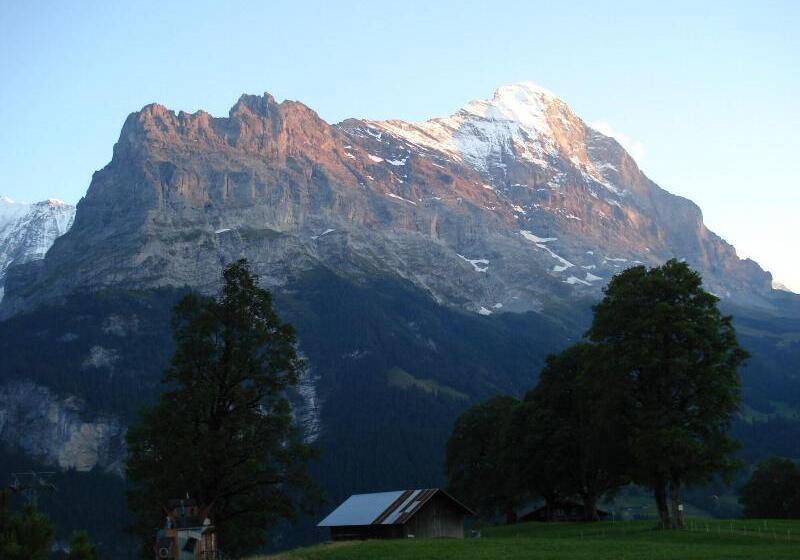 בית מלון כפרי Bodmi