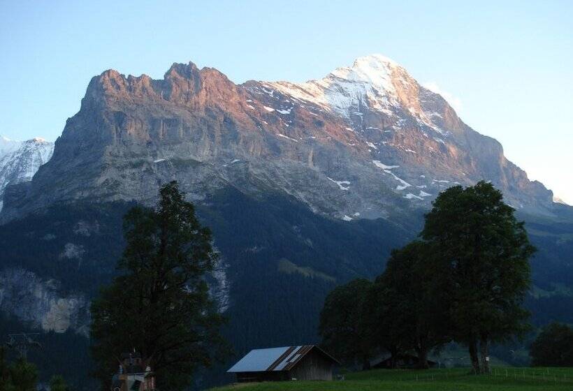 בית מלון כפרי Bodmi