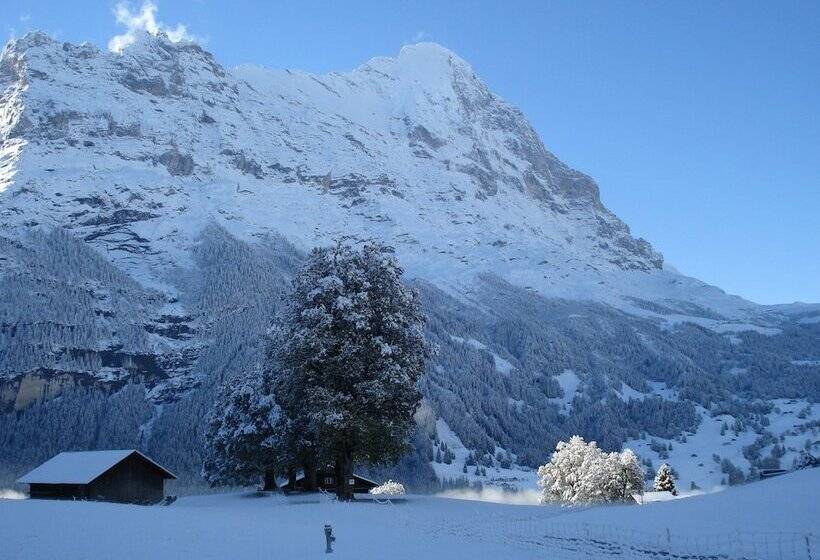 בית מלון כפרי Bodmi
