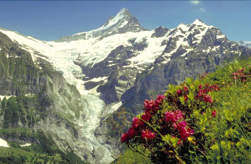 בית מלון כפרי Bodmi