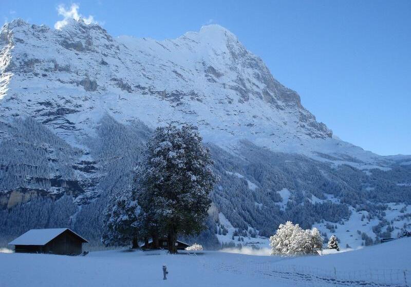 בית מלון כפרי Bodmi