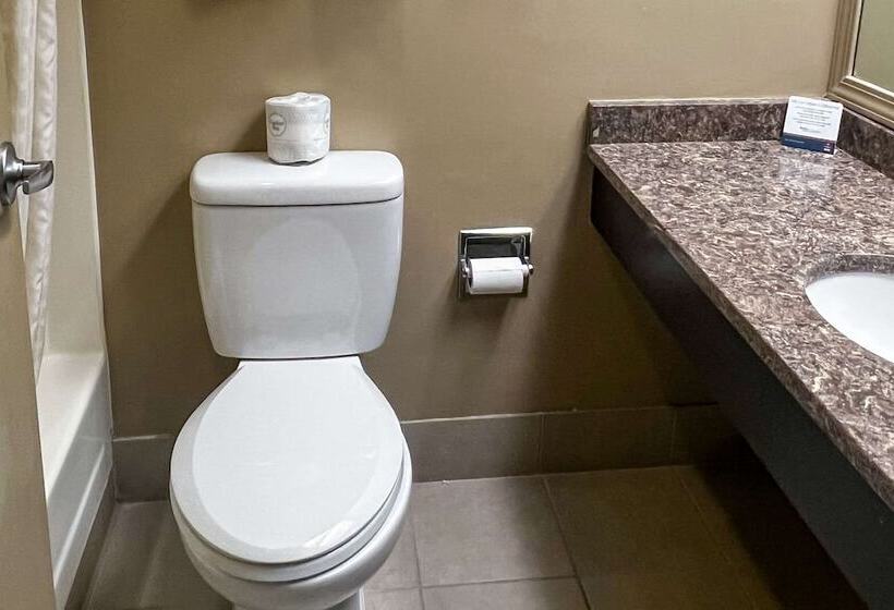 Clarion Hotel & Suites