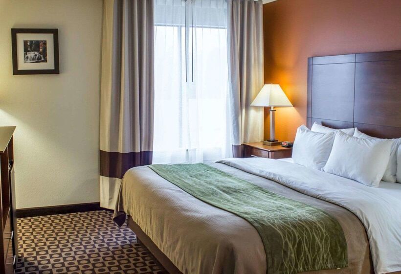 فندق Comfort Inn Fayetteville I95
