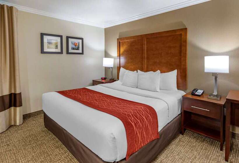 בית מלון כפרי Comfort Inn Fontana