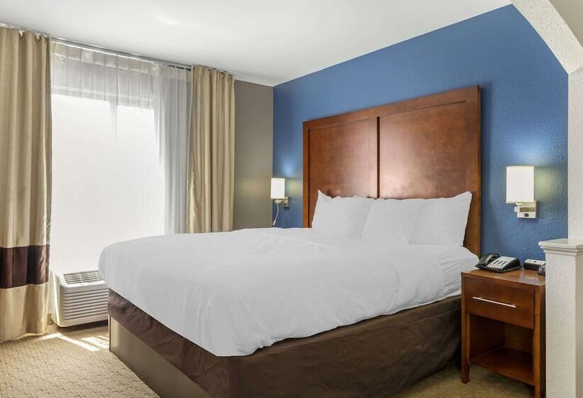 فندق Comfort Inn Garner Clayton I40