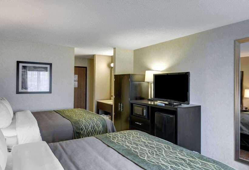 酒店 Comfort Inn