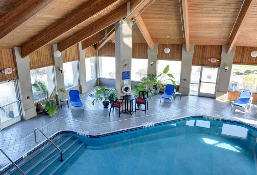 酒店 Comfort Inn