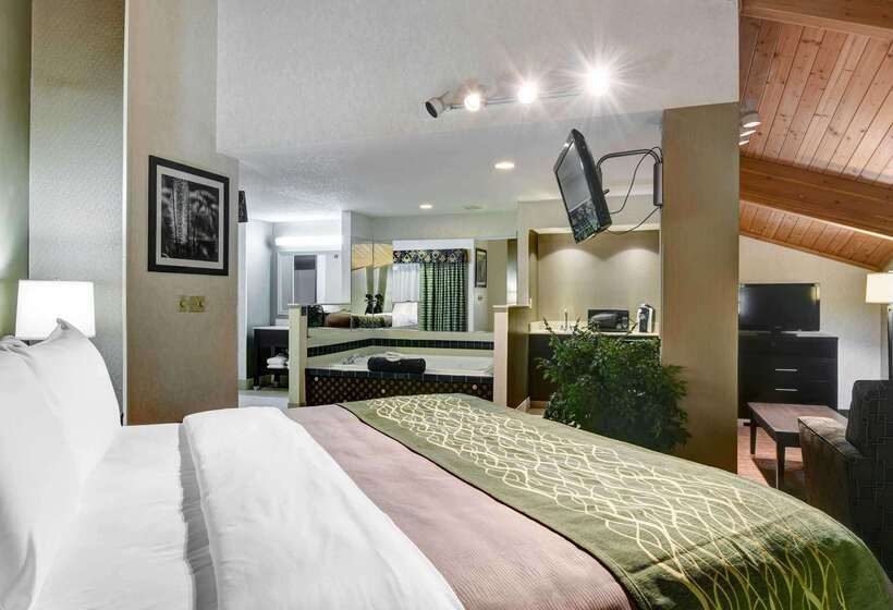 酒店 Comfort Inn