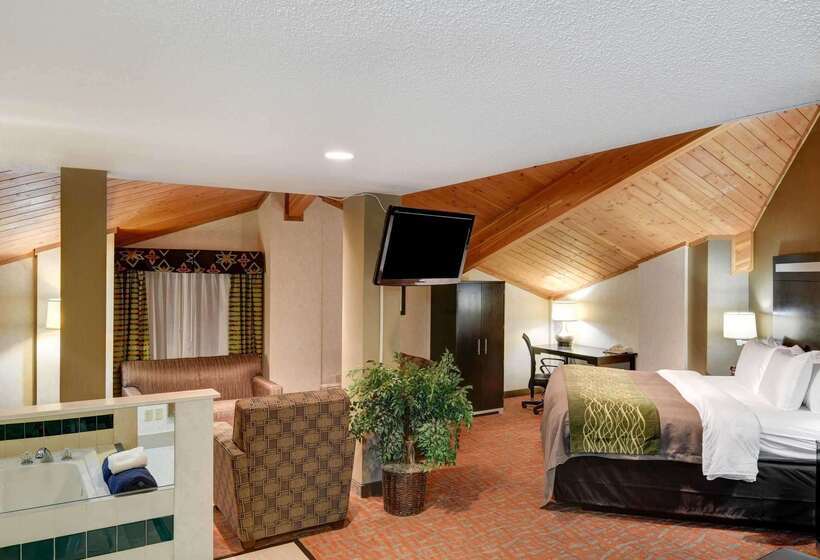 酒店 Comfort Inn