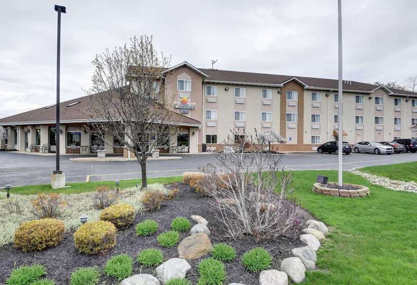 酒店 Comfort Inn