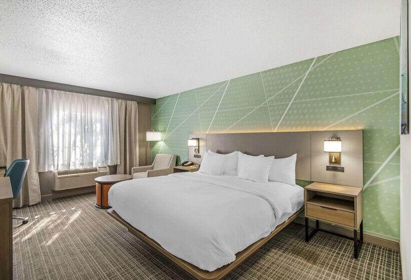 Отель Comfort Inn & Suites Louisville Airport Fair & Expo